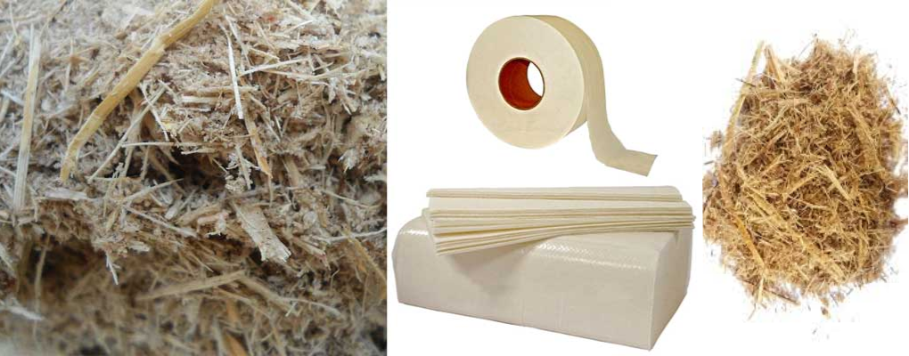 Developing paper based on bagasse to map forth a sustainable future